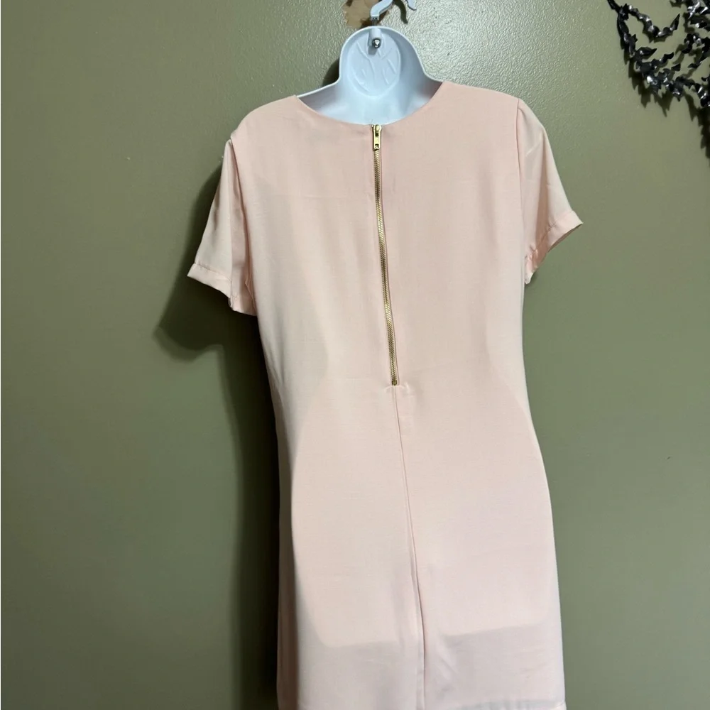 Lulu’s Shift Dress, Sheer‎ Pink, Size M